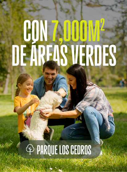 Parque los Cedros